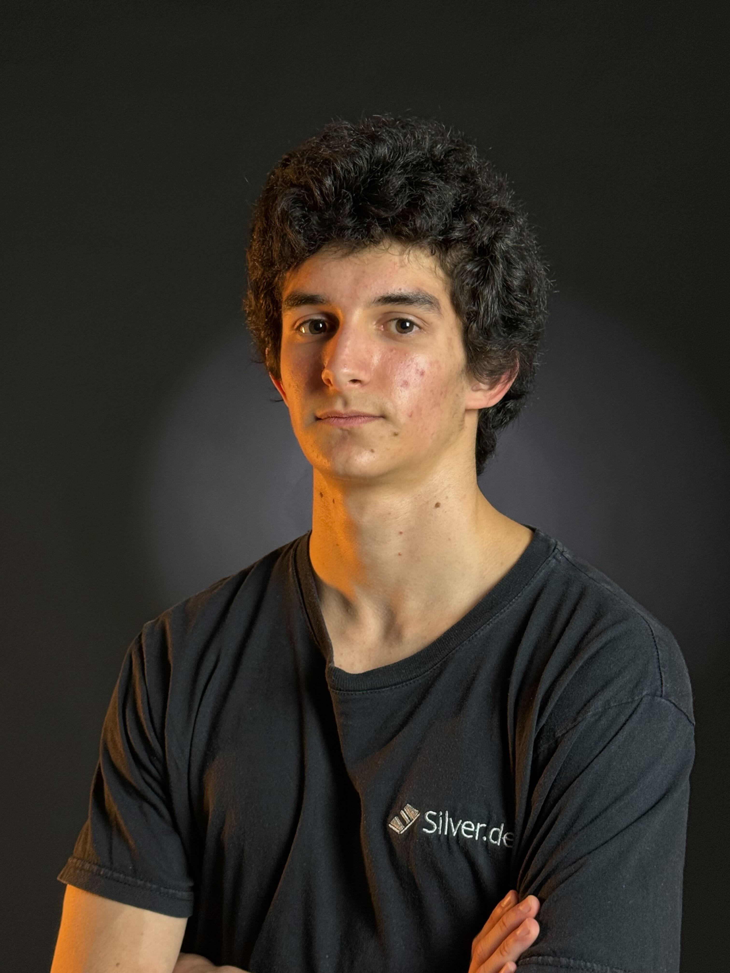 Professional Silver.dev photo