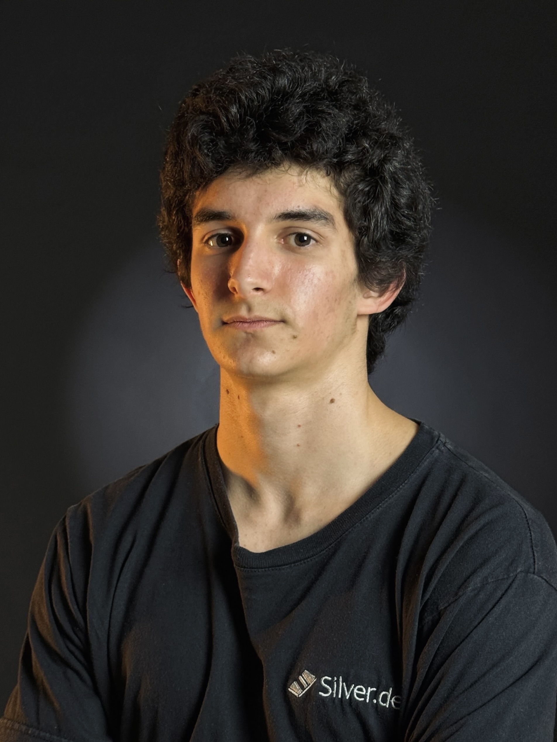 Professional Silver.dev photo